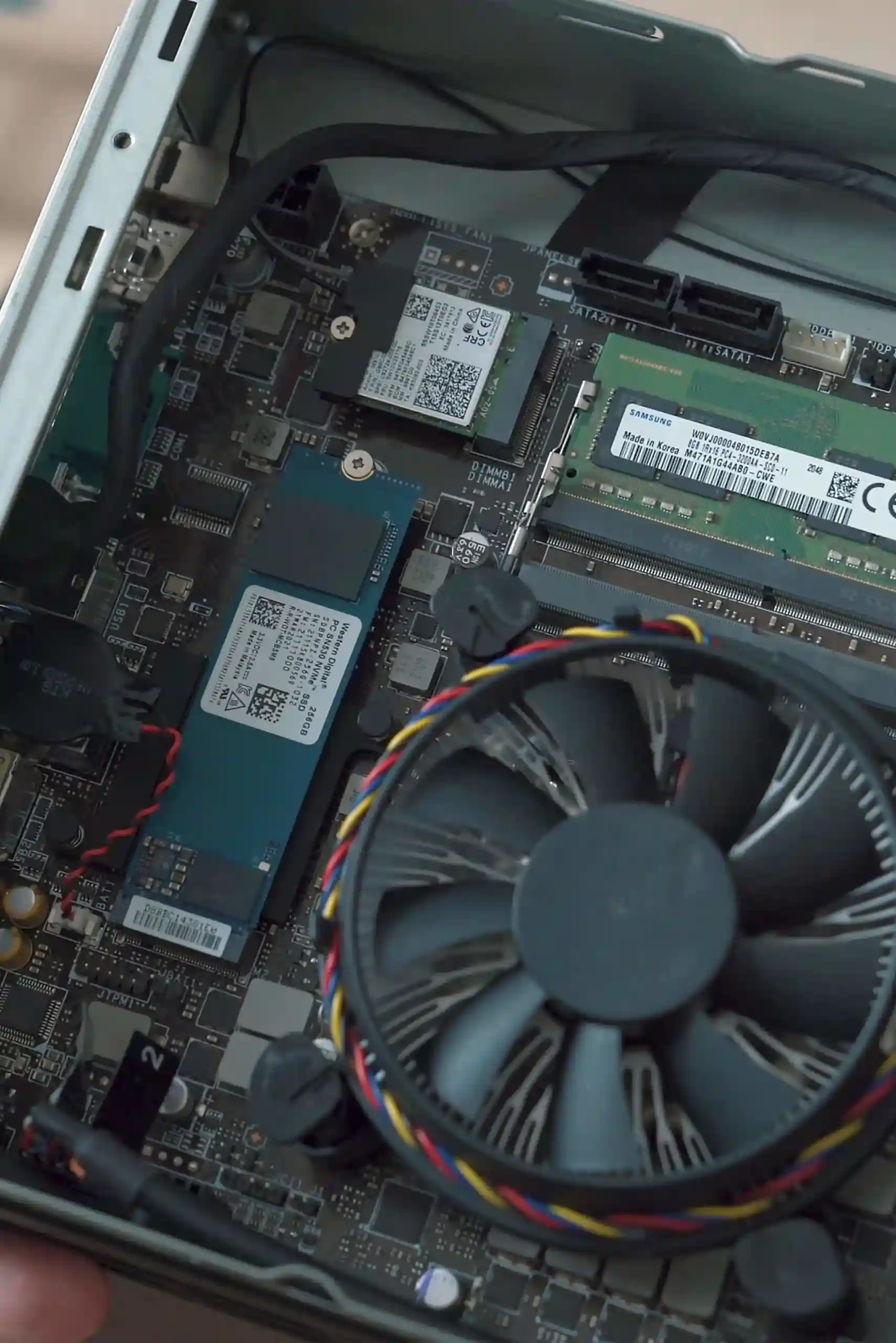 ny-lp-subbanner-scaled-8